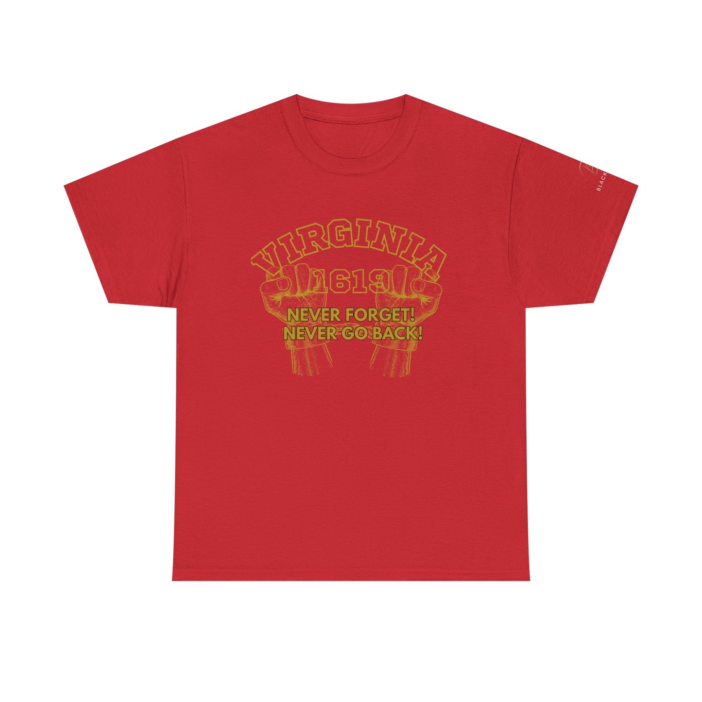 Historical Virginia 1619 T-Shirt