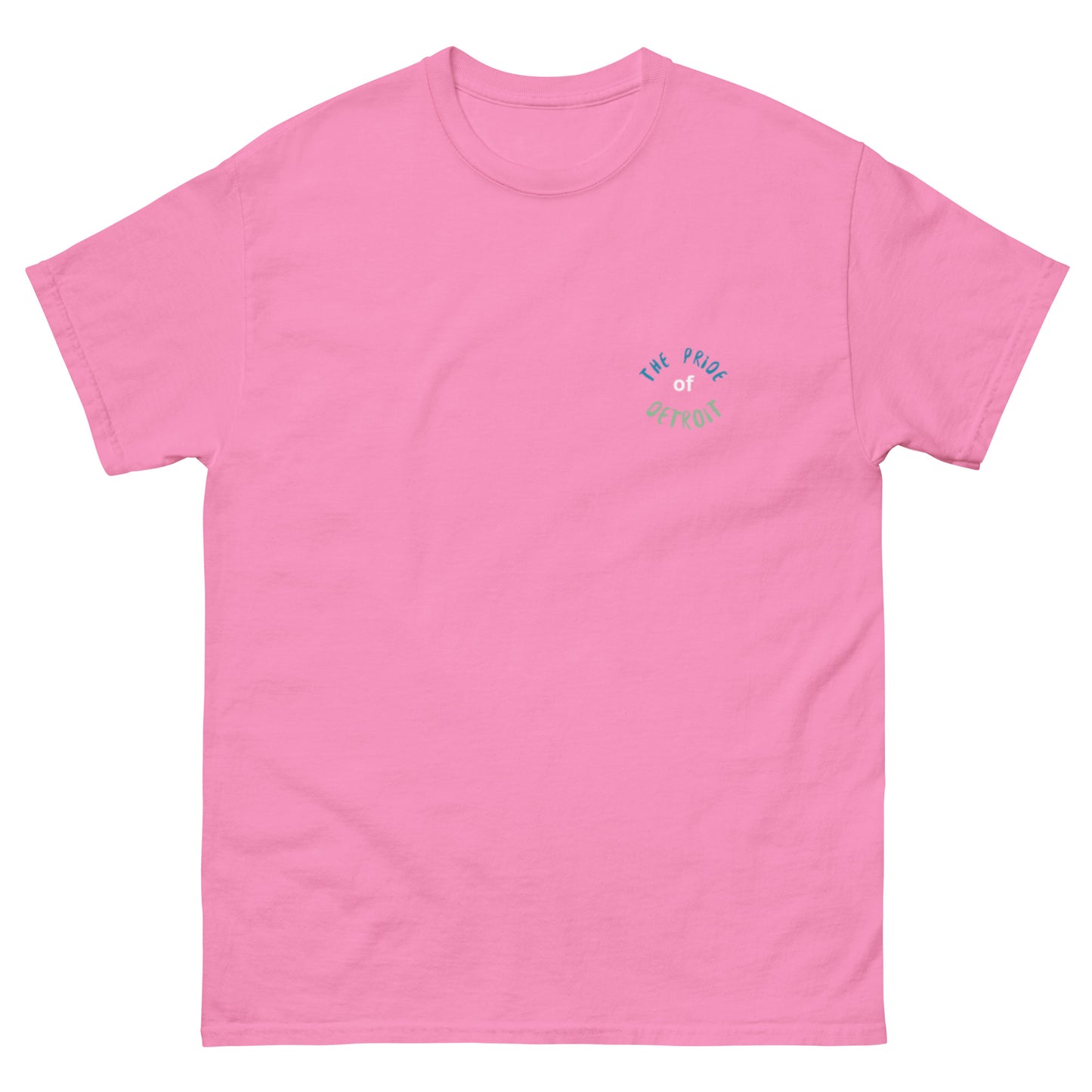 The Lions Men's classic tee